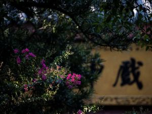无心的伤害