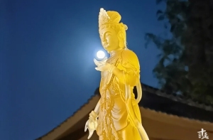 抬头望明月，月光菩萨正在守护你丨恭迎月光菩萨圣诞