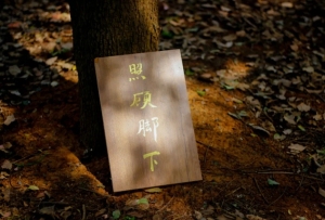 圣慧法师：生命最重要的功课，是持守一份唤醒自我的坚毅