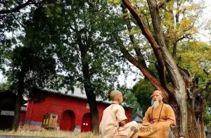 请善待你的师父，师父是替弟子背业的人，建议每个弟子都看看！