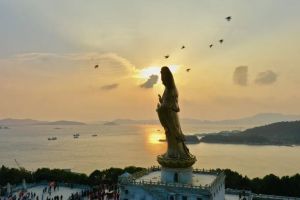 优波离先出家为师兄