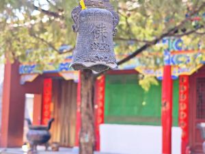 人皆衡彼值，品金两相持（上）