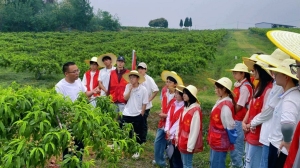 这个五一，把课堂搬到田间 湖北工程学院劳动教育“走新”更“走心”