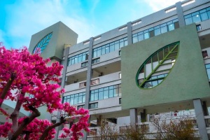 不刷题、不背书,这堂思政课靠“点赞”拿学分