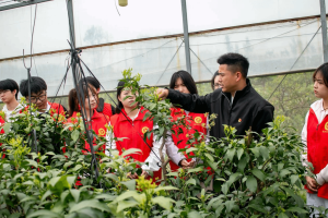 从红色家书到绿色田野 湖北科技职业学院打造“三位一体”行走的思政课