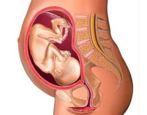 胎儿入盆 胎儿入盆后胎动会减少吗