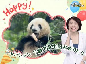 【AちゃんのChinanow】中日の友好大使 シャンシャンが中国で7歳の誕生日迎える