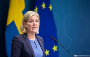 瑞典首相安德松宣布辞职 对极右翼政党深感不安