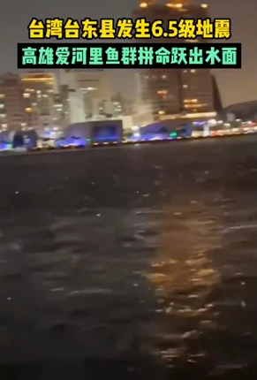 台湾6.5级地震 水中鱼群跃出水面 不少民众当场尖叫