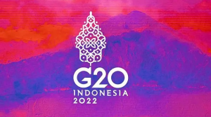 印媒称G20巴厘岛峰会面临严峻挑战，预计紧张气氛将会加剧