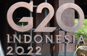 “特殊之年”的印尼巴厘岛G20峰会将谈些啥？