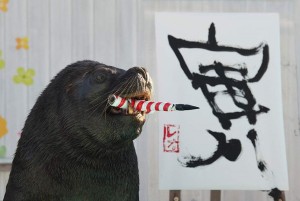 日本海狮叼笔书写汉字“寅” 迎接中国农历虎年
