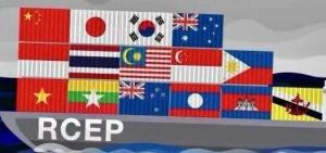 RCEP生效！全球最大自由贸易区正式启航