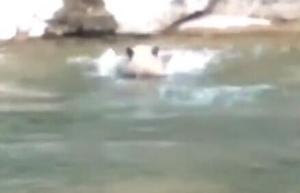 太拼了我的墩！陕西村民拍到野生大熊猫游泳过河