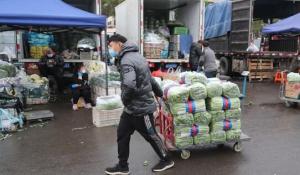 北京新发地蔬菜上市量破建场34年纪录