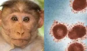 英国发现新猴痘毒株