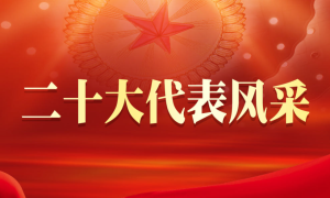 二十大代表风采