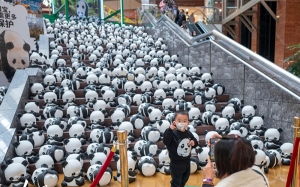 大熊猫巡展 呼吁生物多样性保护
