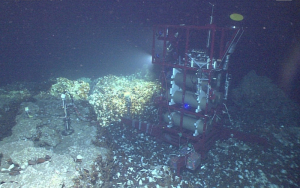 我国在南海成功构建深海原位光谱实验室