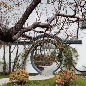 高质量发展·蹲点日记丨一座山，一个梦，一缕乡愁