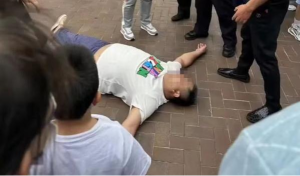 上海迪士尼回应冲突事件：永久禁入园区 已交由公安调查