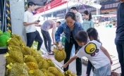 东南亚榴莲大量上市 吸引不少榴莲爱好者前来选购