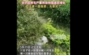 女子因貓掉毛將貓遺棄 養(yǎng)寵物不應(yīng)隨意丟棄,，不僅破壞了生態(tài)環(huán)境，也十分地不負(fù)責(zé)任