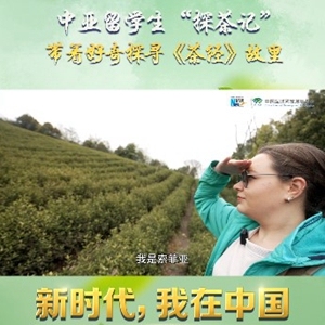 中亚留学生“探茶记”：带着好奇探寻《茶经》故里