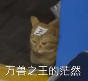 2023新生儿爆款名字 宇轩已连续两年霸榜男孩名榜首