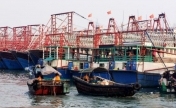 5月1日12时起广西北海进入休渔期 为期3个半月