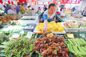 云南發(fā)布安全提示 誤采誤食野菜可能危及生命