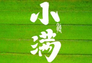 521遇上小滿 傳遞祝福 愿你收獲雙倍美好,！