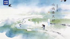 国色绘谷雨丨雨润百谷 万物昌荣