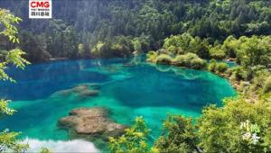 川悦四季｜碧水如镜映山岚 九寨夏至入画来