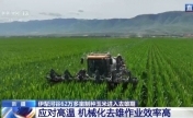 田间地头显身手 看机器人如何高效作业