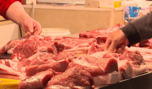 国家将自9月起投放政府猪肉储备，维护市场正常秩序