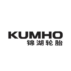 锦湖轮胎中国董事长凌雷获评“2025年度中国轮胎行业领袖”