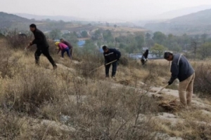 长治潞城区：林下经济“添绿增收”