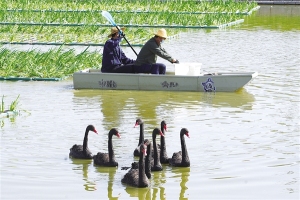 “怡然见晋中”城市文旅形象业态群落实地体验活动侧记