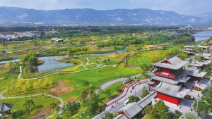 太原汾河景区|秋意浓