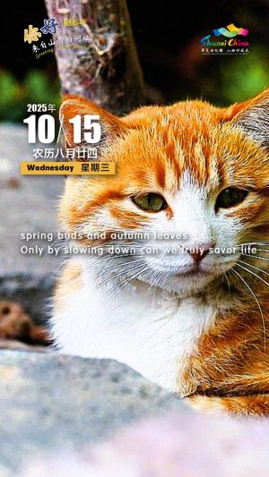 Hello, greetings from Shanxi—Nanzhuang Ancient Village Tourism Area 你好，来自山西的问候—介休市南庄古村旅游区（3A景区）