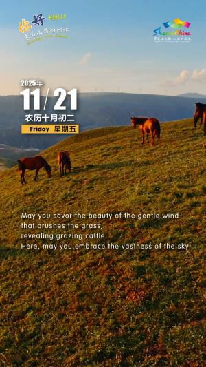 Hello, greetings from Shanxi—Sky Prairie Scenic Area 你好，来自山西的问候—灵丘县空中草原旅游景区（3A）