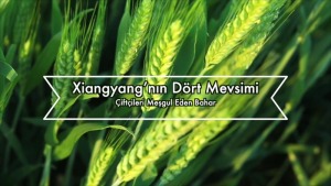 Xiangyang’nın Dört Mevsimi-Çiftçileri Meşgul Eden Bahar