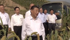 Xi Jinping, tarlada çiftçilerle sohbet etti