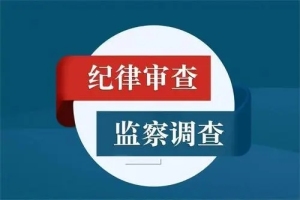 昭通市鲁甸县人民政府副县长徐国军被开除党籍和公职