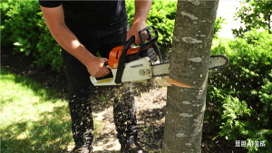 人不能太无聊！男子因无聊解闷锯绿化带34株树获刑