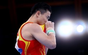第26金！刘洋夺得体操男子吊环金牌 尤浩夺得银牌