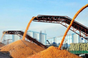 早报｜我国粮食库存处历史高位、台湾再现打错疫苗