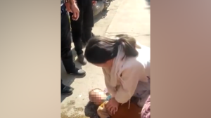 暖流 | 怀孕护士街边跪地半小时救溺水男童