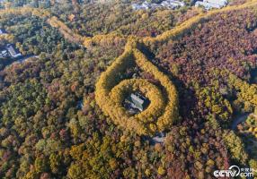 南京：美龄宫“金色项链”景色如画